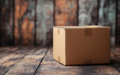 Box Internet pas Cher : Comparatif des Meilleures offres pour maîtriser ses dépenses numériques
